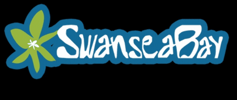 visitswanseabay giphygifmaker wales swansea happyplace GIF