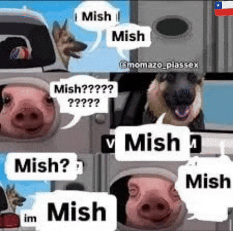 Chile Meme GIF