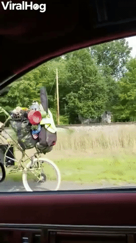 Very Unique Bike Spotted in Indiana