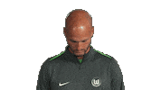 Look Up Vfl Wolfsburg Sticker by Bundesliga