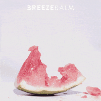 Breezebalm lip balm breeze balm GIF