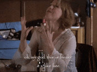 season 4 netflix GIF by Gilmore Girls 