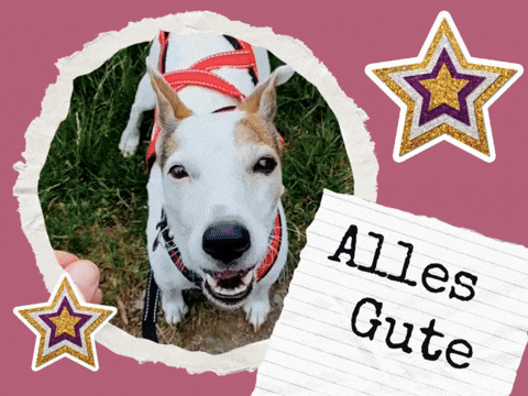 wufflecker giphyupload wufflecker wuffleckerbirthday wuffleckerglückwunsch GIF