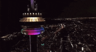 Celebration Canada GIF by City of Toronto Arts & Culture
