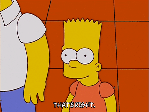 homer simpson GIF