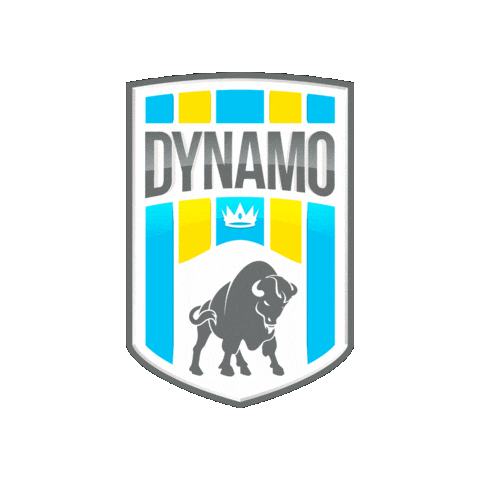 Dpfc Sticker by FSDK