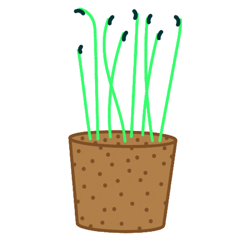 Spring Sticker by Infarm