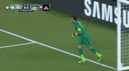 copa america centenario argentina GIF by Univision Deportes