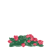 happy peek a boo Sticker by Red Bull