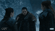 jon snow hbo GIF by Game of Thrones