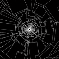 pislices loop 3d trippy black and white GIF
