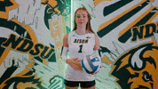 Volleyball Bison GIF by NDSU Athletics