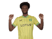 Premier League Soccer Sticker by Norwich City Football Club