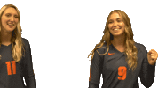 Sport Love Sticker by Carson-Newman Athletics
