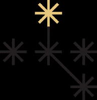 FIRMAMENT firmament GIF