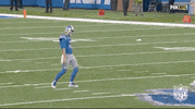 Detroit Lions Football GIF by NFL
