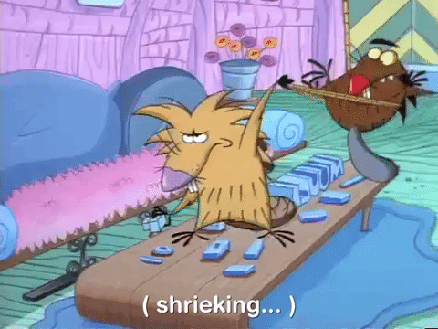 nickrewind giphydvr nicksplat angry beavers giphyab010 GIF