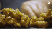 GIF by Our Grandfather Story