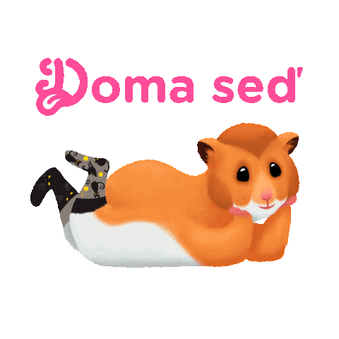 Hamster Socks Sticker by Dedoles