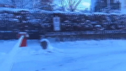 too late jump GIF by AFV Epic Fails