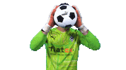 Yann Sommer Bundesliga Sticker by Borussia Mönchengladbach