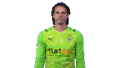 Yann Sommer Bundesliga Sticker by Borussia Mönchengladbach