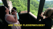 fun laugh GIF by tlc_nl