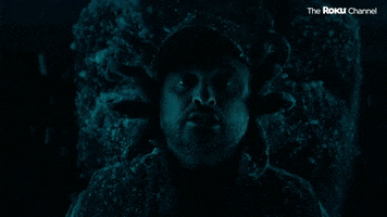 Help Me GIF by The Roku Channel