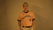 Mke GIF by Milwaukee Panthers
