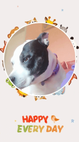 Cybeeonline giphygifmaker happy dreams GIF