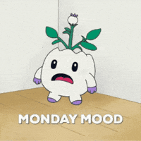 Monday GIF by Magic Eden