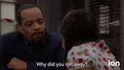 Law And Order Svu GIF by ION