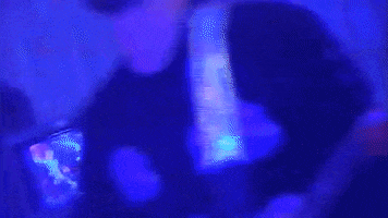 GIF by Magdalena Bay