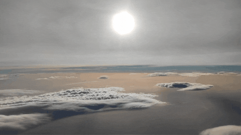 tonicove giphygifmaker GIF