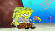 season 9 GIF by SpongeBob SquarePants