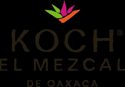 Mexico Oaxaca GIF by koch el mezcal