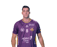 Handball H Sticker by HBCNantes