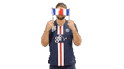 psghand sports sport fun handball Sticker