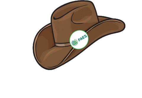 Faes Sticker by Faes.senares