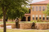 texas tech lubbock GIF by Texas Tech University College of Human Sciences