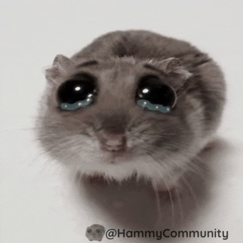 Cry Crying GIF by Sad Hamster