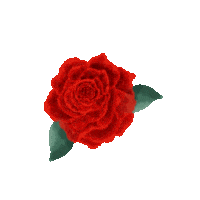 Flower Fall Sticker