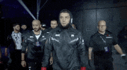 Mixed Martial Arts Sport GIF by UFC