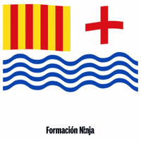 Comunidad Valenciana Flag GIF by Formación Ninja