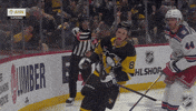 Happy National Hockey League GIF by NHL