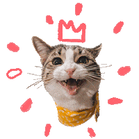 Sticker by SOY FANIMAL