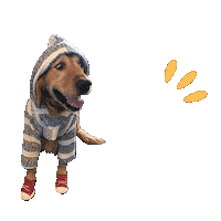 Dog Wow Sticker by SOY FANIMAL