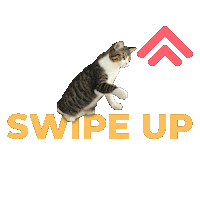 soyfanimal cat swipe up mascota soy fanimal Sticker