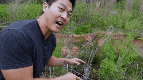rocksock giphyupload GIF