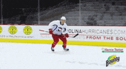 kyle hagel celebration GIF by Charlotte Checkers